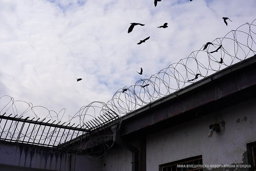 So dosledno primenuvanje na Zakonot za pravda na deca do namaluvanje na delikvencijata 8